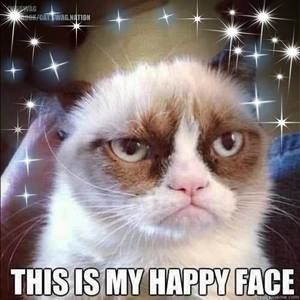 Meet your Posher, Alice